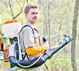 Best service for mosquito treatment in Sandy Springs