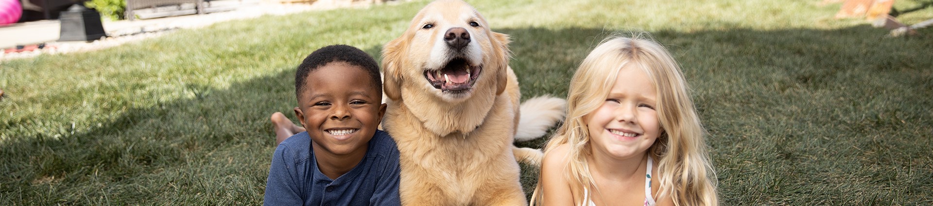 Banner Residential Pest Control Near [Location]