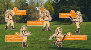 Flea control in Old Bridge