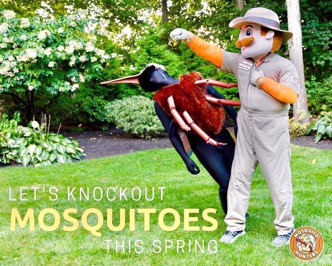 thumbnail of Mosquito Control