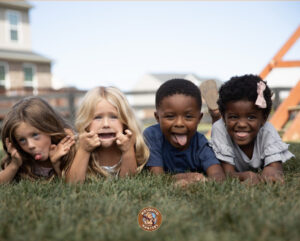 how to get rid of mosquitoes Houston