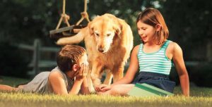 Two children and dog sitting in the grass with tick prevention in Chesterfield