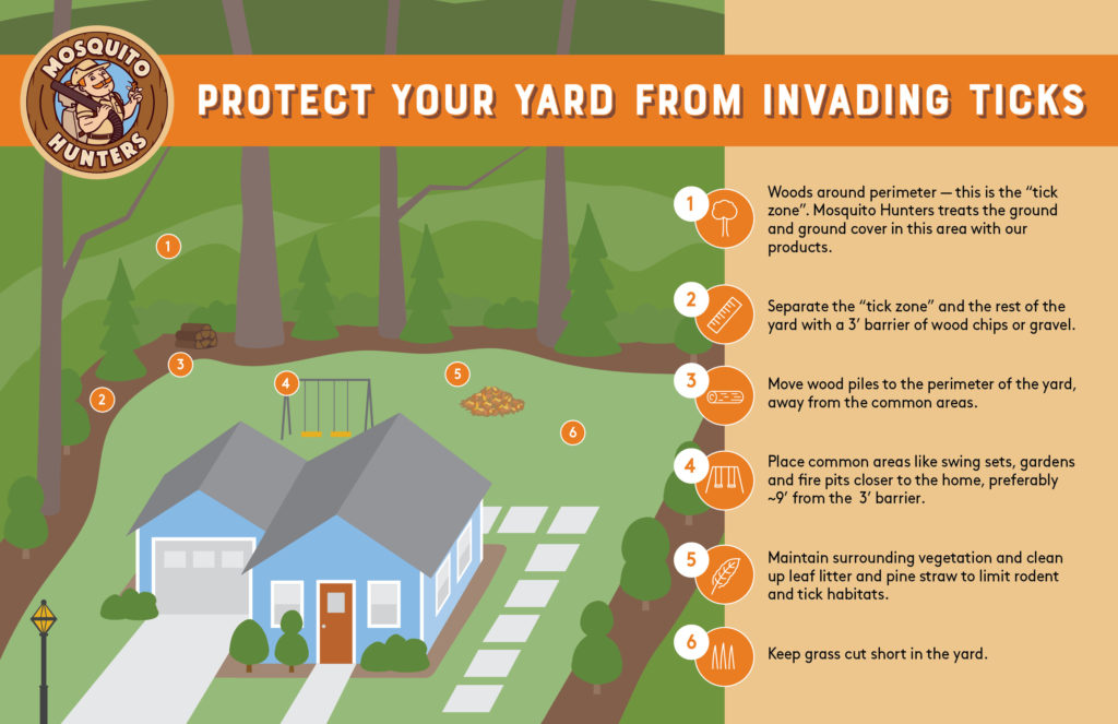 Protect your yard from invading ticks in Holland.